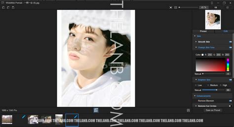 WidsMob Portrait Pro 2.2.0.210